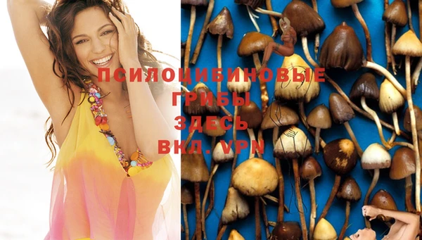PSILOCYBIN Володарск